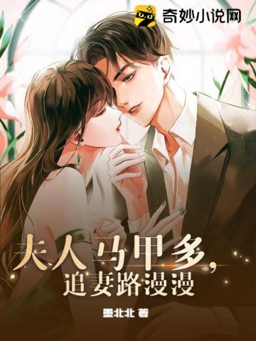 夫人马甲多,追妻路漫漫全文阅读