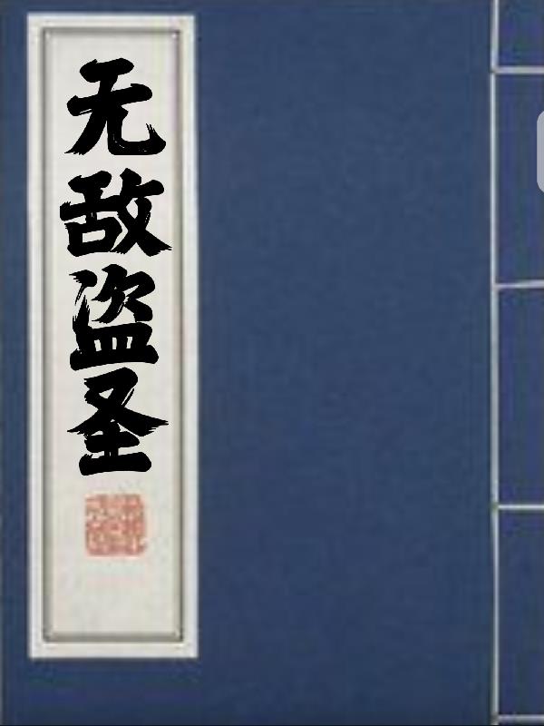 无敌盗圣全文阅读
