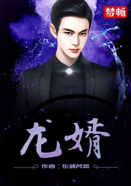 龙婿陆凡唐浣溪全文阅读