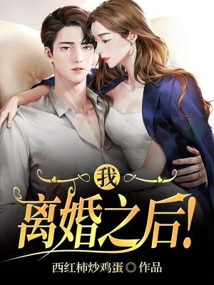 我,离婚之后!全文阅读