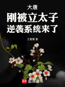 大唐:刚被立太子,逆袭系统来了全文阅读
