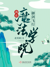 我在魔法学院御剑飞行全文阅读