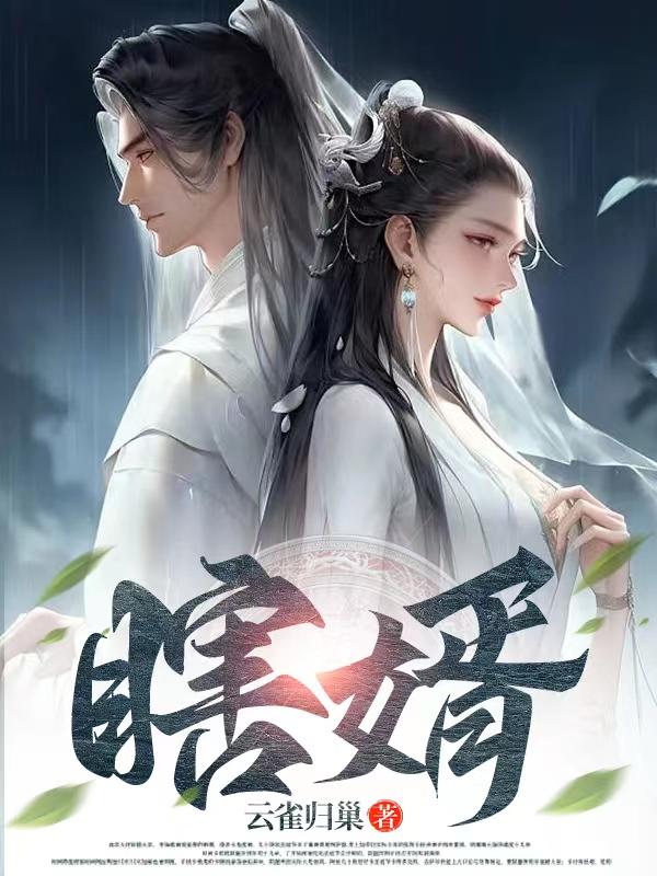 瞎婿全文阅读