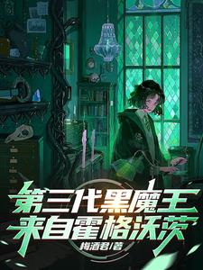 第三代黑魔王来自霍格沃茨全文阅读