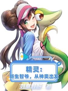 精灵:新生智爷,从神奥出发全文阅读