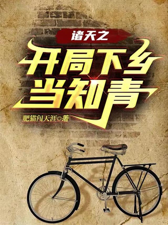 诸天之开局下乡当知青全文阅读