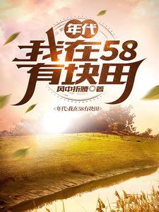 年代:我在58有块田全文阅读