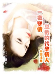 一夜孽情:总裁的代孕情人全文阅读