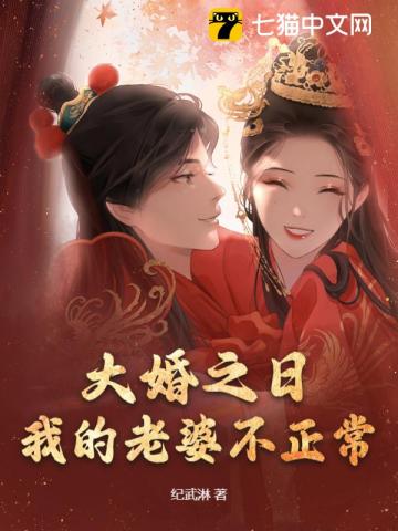 大婚之日,我的老婆不正常全文阅读