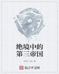 绝境中的第三帝国全文阅读